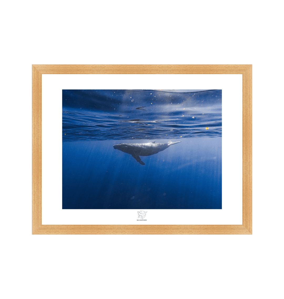 Natural Frame Fine art print Front